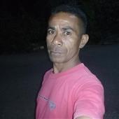 Máy