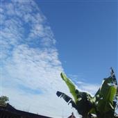 Điệ