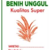 KM 