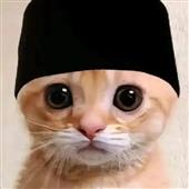 Thế