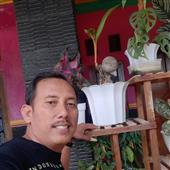 Hus