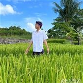 Số 