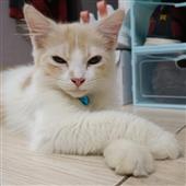 Gra