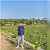Thả