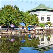 Rồn