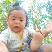 Lịc