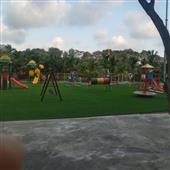 Tỷ 
