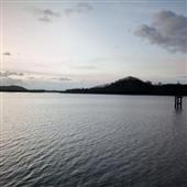 Cộn