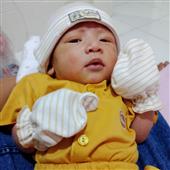 Đội
