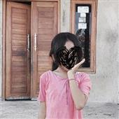 Báo