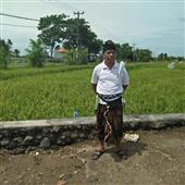 Trự