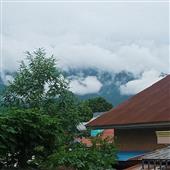 Ngọ