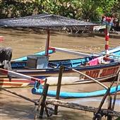 Mạt