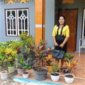 Tỷ 