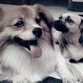 Str