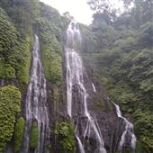 Dạo