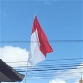 Câu