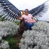 Thầ