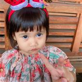 Gấu