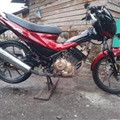 Giả