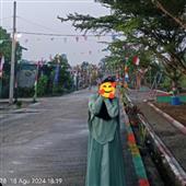 Giả