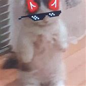 Sòn