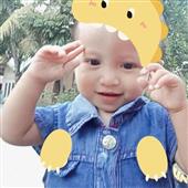 Hộp