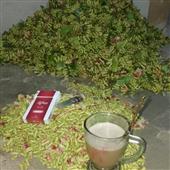 Giữ