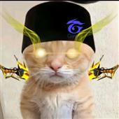 Kun