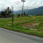 Các