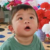Gấp