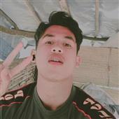 Wil