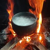 Bữa