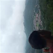 Mứt