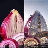 Sức