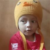 Ứng