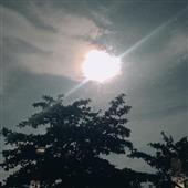 Thứ