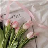 Bac