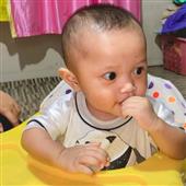 Cừu