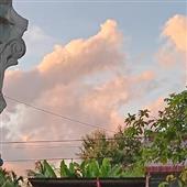 Bản