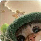 Kỳ 
