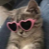 Spo