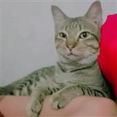 FuW