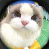 Hộ 
