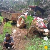Đán