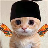 Nhà