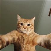 Har
