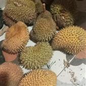 Tàu