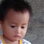 Sơ 