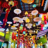 Dự 